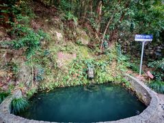 -十八棵（老龙井）御茶园(老龙井店)