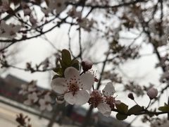 -大雁塔北广场音乐喷泉