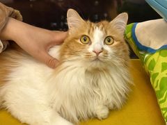 -氷冰凉刨冰甜品(北京路店)