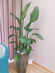 -奥本科技美肤·养生SPA