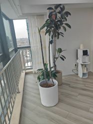 -HEYAN荷妍专业脱毛连锁机构