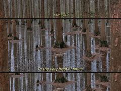 -桤木河湿地公园