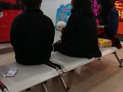 -中国移动(田林路营业厅)