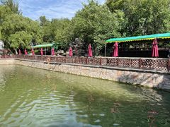 -尚庄度假村·庭台树下·户外烧烤·团建CS·轰趴营地(上庄水库店)