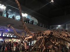 -自贡恐龙博物馆