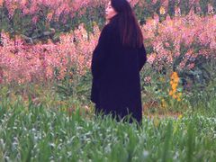 -白鹭湾湿地公园