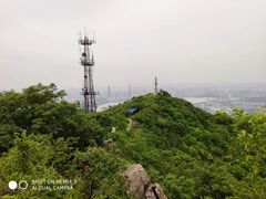-紫金山山顶公园