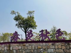 -春花秋色城市公园