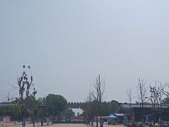 -洛阳市隋唐城遗址植物园