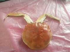 -小陆莲花蟹园农家乐(莲花岛店)