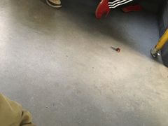 -好好栗子店(海宁总店)