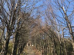 -东白山