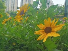-瑞虹新天地月亮湾