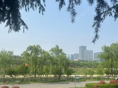 -洨河生态公园