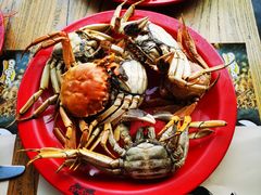 -好伦哥(温都水城店)