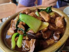 -紫光园·烤鸭(沙河物美店)