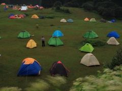 -TIPPI营地 房车主题·露营烧烤团建轰趴(天安假日店)