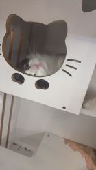 -隅日式美甲美睫專門店