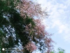 -派悦坊·甜品·蛋糕(日坛店)