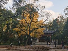 -汇龙潭