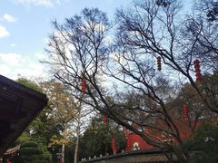 -乌山风景区