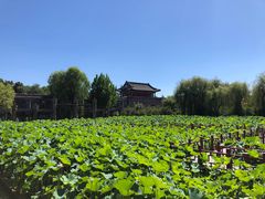 -大明幻境第一城