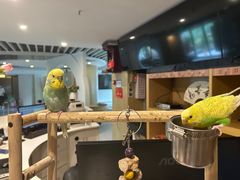 -乐山上善居·养心禅景酒店(世豪广场高铁站店)
