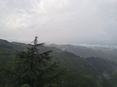 -四明山国家森林公园