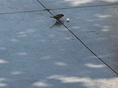 -济南方特东方神画