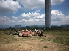 -龙里油画大草原旅游区