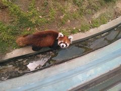 -无锡动物园·太湖欢乐园
