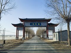 -雾凇岛