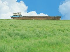 -鄱阳湖国家湿地公园