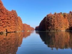 -上海海湾国家森林公园