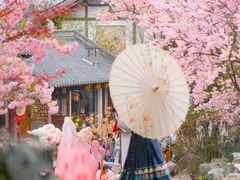 -茅山东方盐湖城景区