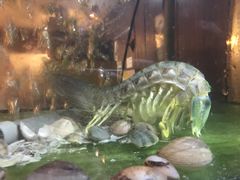 -真浪大家乐海鲜餐馆