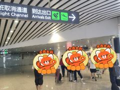 -广州白云国际机场-T2航站楼