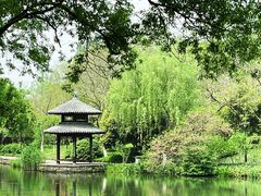 -茅家埠