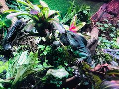 -上海海洋水族馆