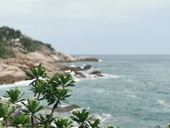 -广东惠东海龟国家级自然保护区