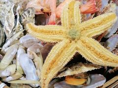 -小螺号海鲜·地道鲁菜(泉城广场店)