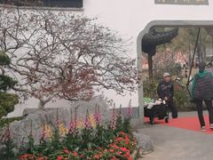 -武汉园博园(武汉自然博物馆)