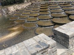 -北仑森林植物园