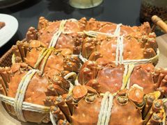 -欢乐蟹庄·精品农家乐(阳澄湖莲花岛店)