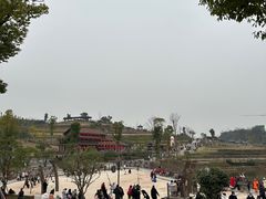 -枫香湖儿童公园