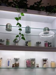 -诗媛嘉美健康管理中心(金桥店)