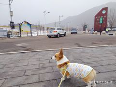 -蓟州溶洞风景区