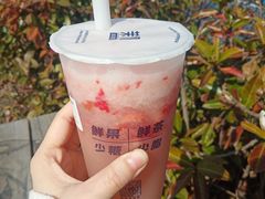 多肉莓莓-茉沏(相城天虹店)