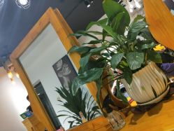 -明洞造型精品烫染