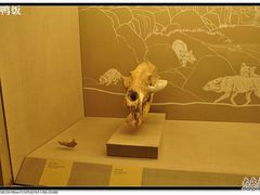 -北京大学赛克勒考古与艺术博物馆